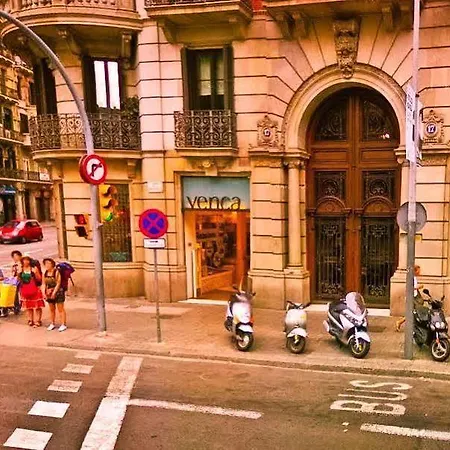 Alternative Creative Youth Hostel *