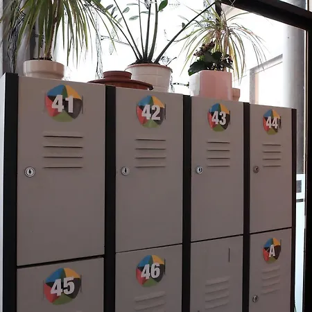 Auberge de jeunesse Alternative Creative Youth