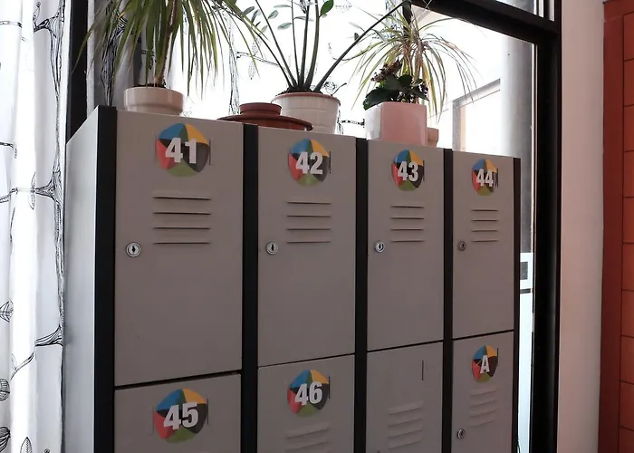 Hostel Alternative Creative Youth