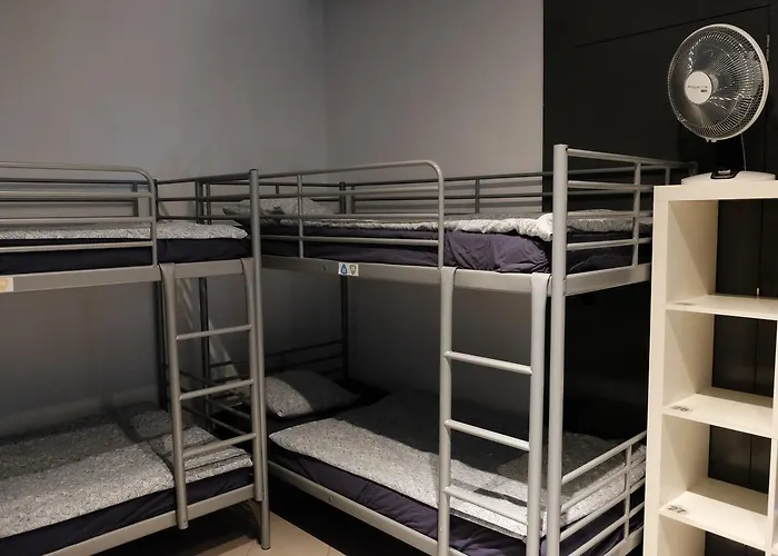 Alternative Creative Youth Hostel